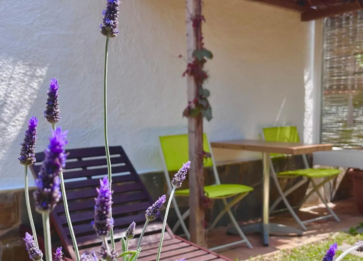 Apartament Sitges Garden Suite