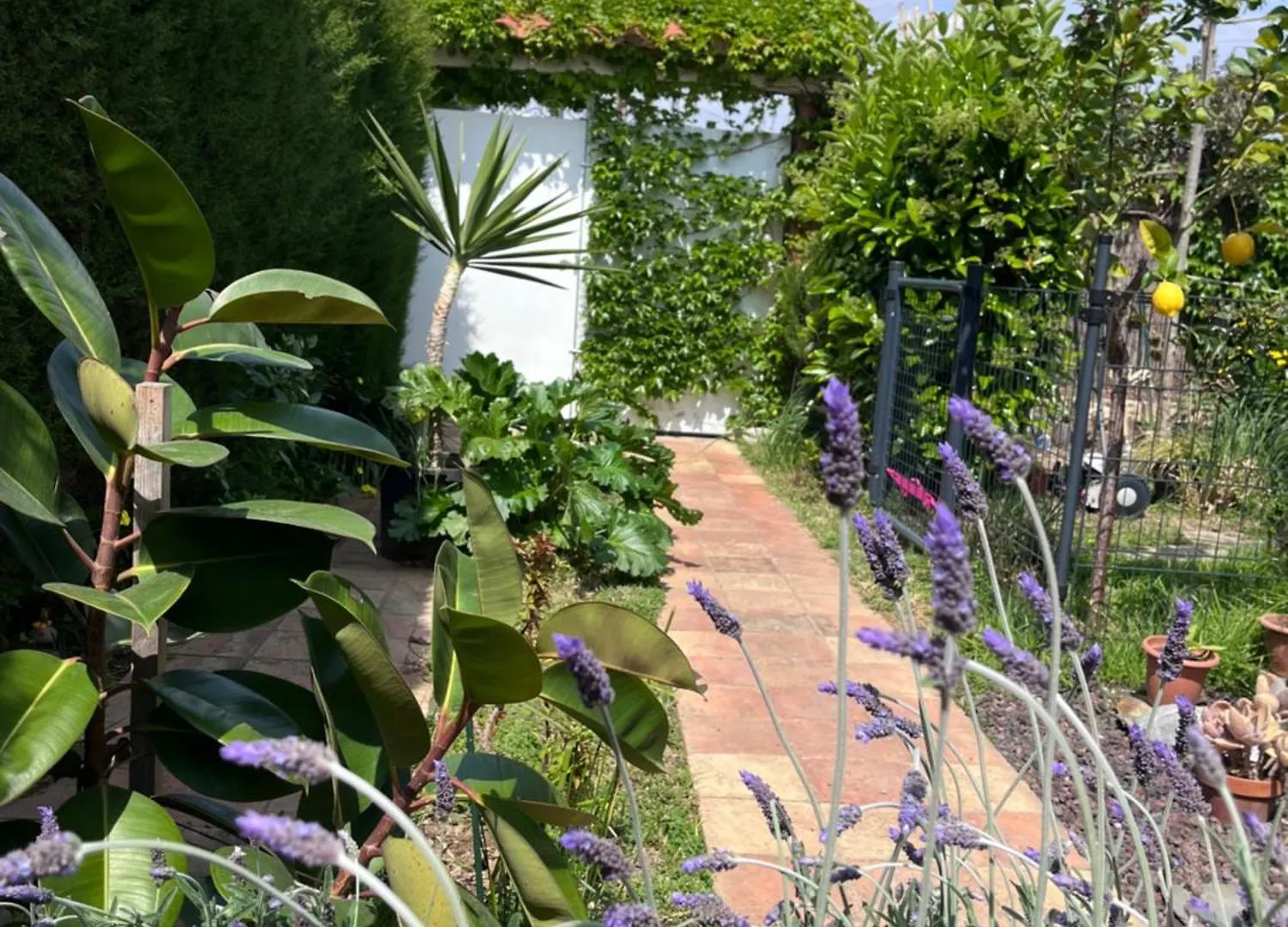 Apartament Sitges Garden Suite